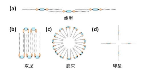 双子表面活性剂在金属清洗剂中的抗菌性能研究